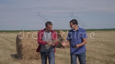 团队农业智慧农业理念.. 两名男<strong>工农</strong>民在数字平板电脑上的干草堆上散步